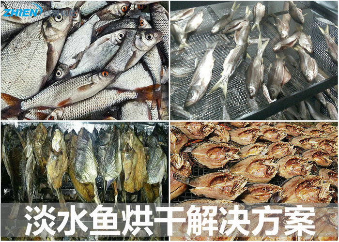 淡水魚烘干